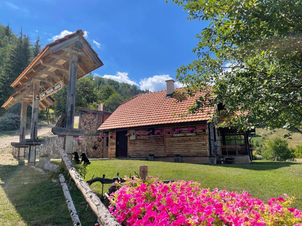 Villa Konak Mandica Avlija Zaovine Exterior foto