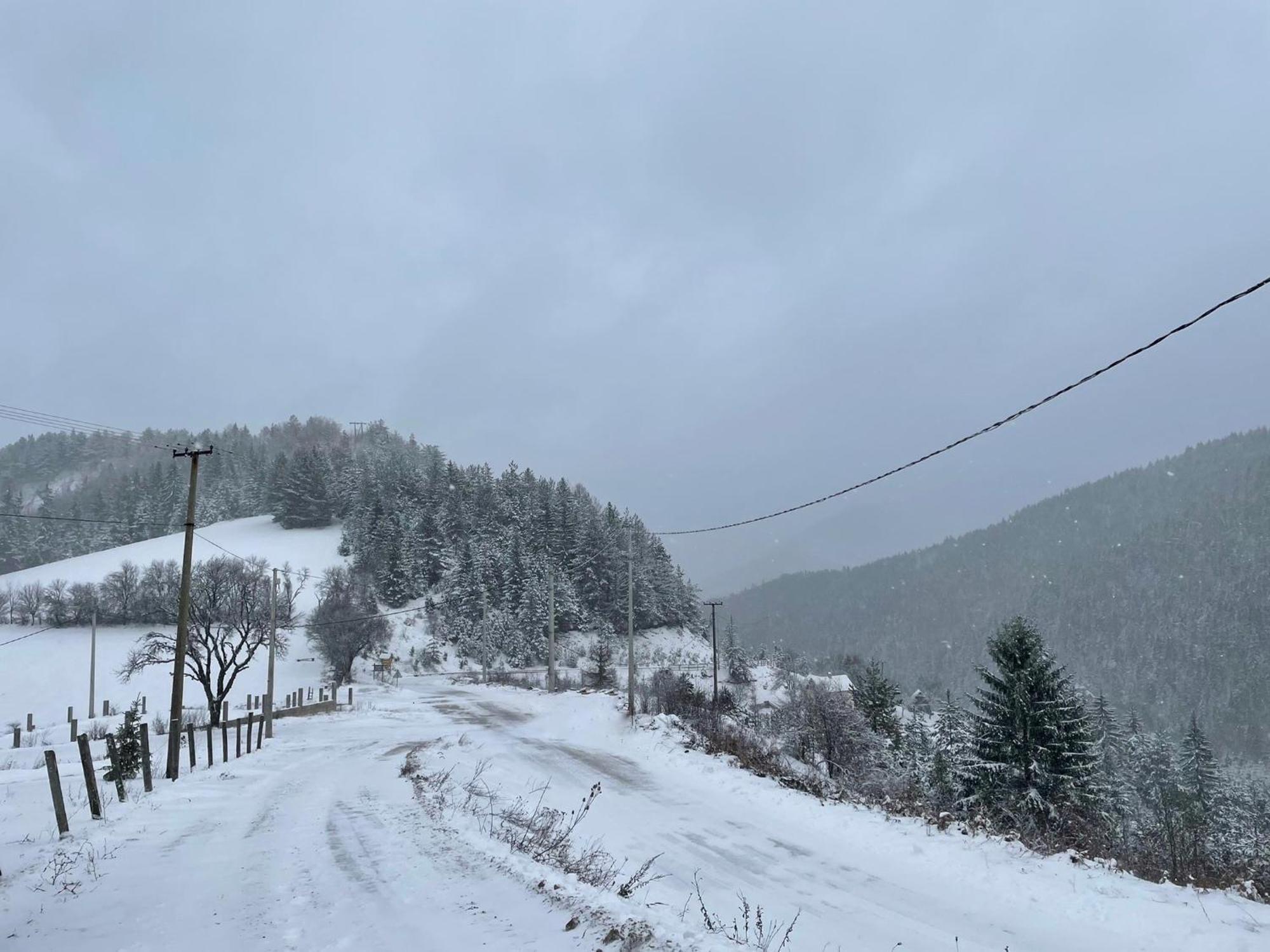 Villa Konak Mandica Avlija Zaovine Exterior foto